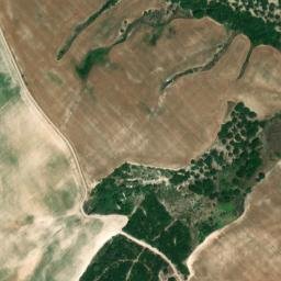 Satellite imagery of survey_point, DZ