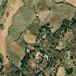 Satellite imagery of survey_point, DZ