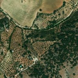 Satellite imagery of survey_point, DZ