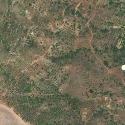 Satellite imagery of survey_point, DZ