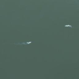 Satellite imagery of survey_point, DZ