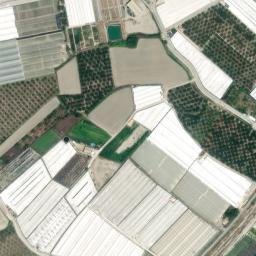 Satellite imagery of survey_point, DZ