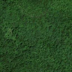 Satellite imagery of Rattlesnake Ridge, US
