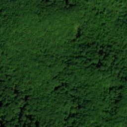 Satellite imagery of Pine Spur, US