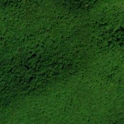 Satellite imagery of Pine Spur, US