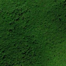 Satellite imagery of Chestnut Ridge, US