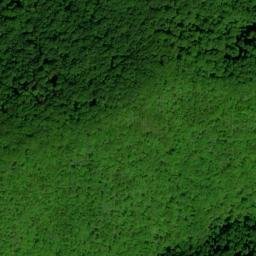 Satellite imagery of Chestnut Ridge, US