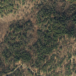 Satellite imagery of Iron Ridge, US