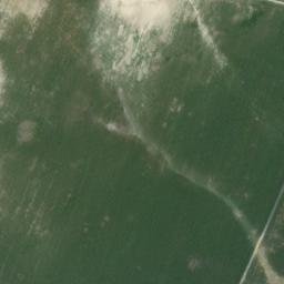 Satellite imagery of survey_point, DZ