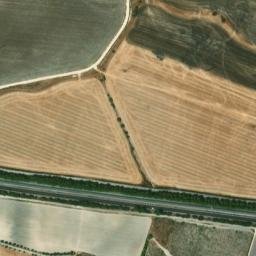 Satellite imagery of survey_point, DZ