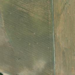 Satellite imagery of survey_point, DZ