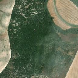 Satellite imagery of survey_point, DZ