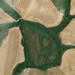 Satellite imagery of survey_point, DZ