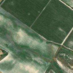 Satellite imagery of survey_point, DZ