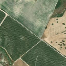 Satellite imagery of survey_point, DZ