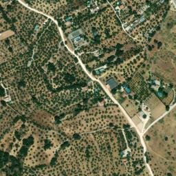 Satellite imagery of survey_point, DZ