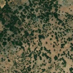 Satellite imagery of survey_point, DZ