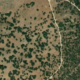 Satellite imagery of survey_point, DZ