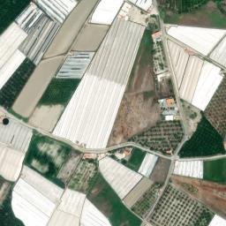 Satellite imagery of survey_point, DZ