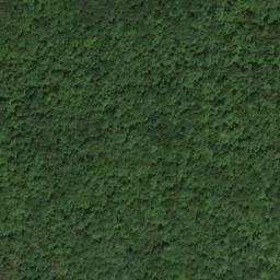 Satellite imagery of Bills Bluff, US