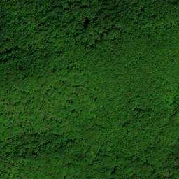 Satellite imagery of Chestnut Ridge, US