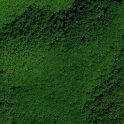 Satellite imagery of Chestnut Ridge, US