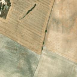 Satellite imagery of survey_point, DZ