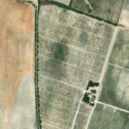Satellite imagery of survey_point, DZ