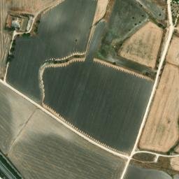 Satellite imagery of survey_point, DZ