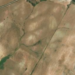 Satellite imagery of survey_point, DZ