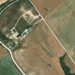 Satellite imagery of survey_point, DZ