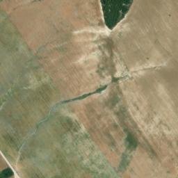 Satellite imagery of survey_point, DZ