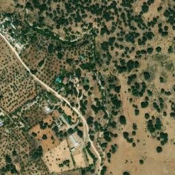 Satellite imagery of survey_point, DZ