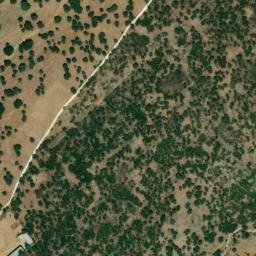 Satellite imagery of survey_point, DZ