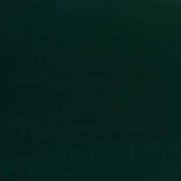 Satellite imagery of survey_point, DZ
