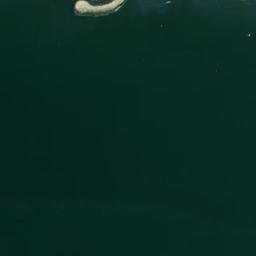 Satellite imagery of survey_point, DZ