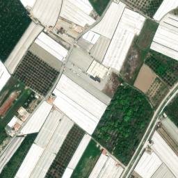 Satellite imagery of survey_point, DZ
