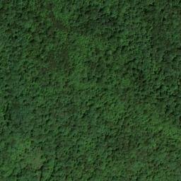 Satellite imagery of Paint Cliff, US
