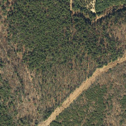 Satellite imagery of Iron Ridge, US