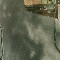Satellite imagery of survey_point, DZ