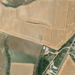 Satellite imagery of survey_point, DZ