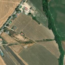 Satellite imagery of survey_point, DZ