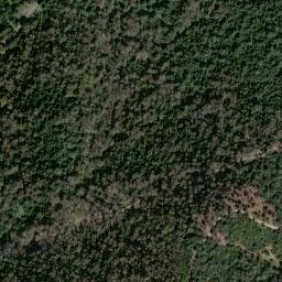 Satellite imagery of survey_point, DZ