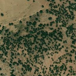 Satellite imagery of survey_point, DZ