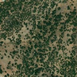 Satellite imagery of survey_point, DZ