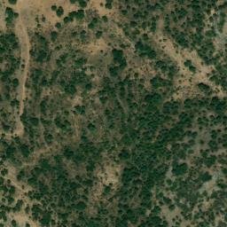Satellite imagery of survey_point, DZ