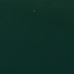 Satellite imagery of survey_point, DZ