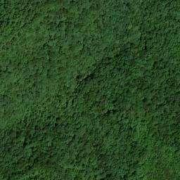 Satellite imagery of Coon Patch Ridge, US