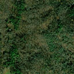 Satellite imagery of Mikes Ridge, US