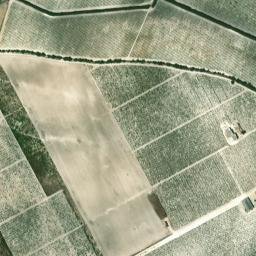 Satellite imagery of survey_point, DZ